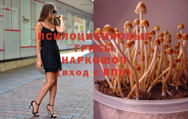 первитин Заволжье