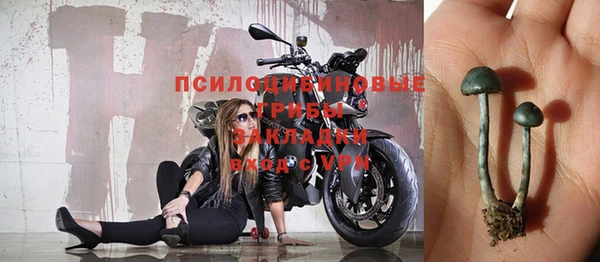 apvp Заволжск