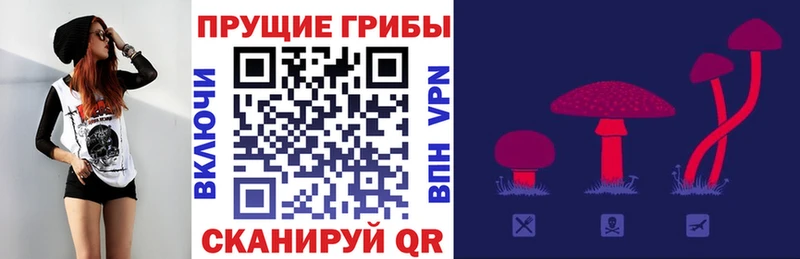Галлюциногенные грибы Magic Shrooms Купить закладки Губкинский